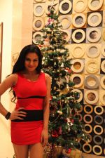 Veena Malik Celebrating Christmas on 20th Dec 2012 (7).JPG
